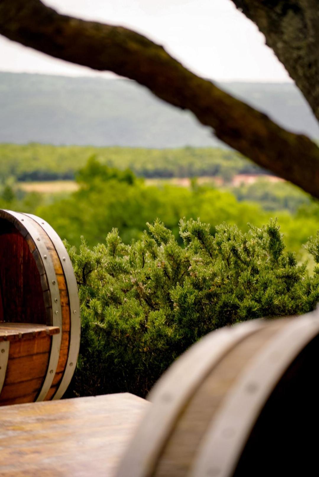 Wine Residence Cattunar Brtonigla Exterior foto