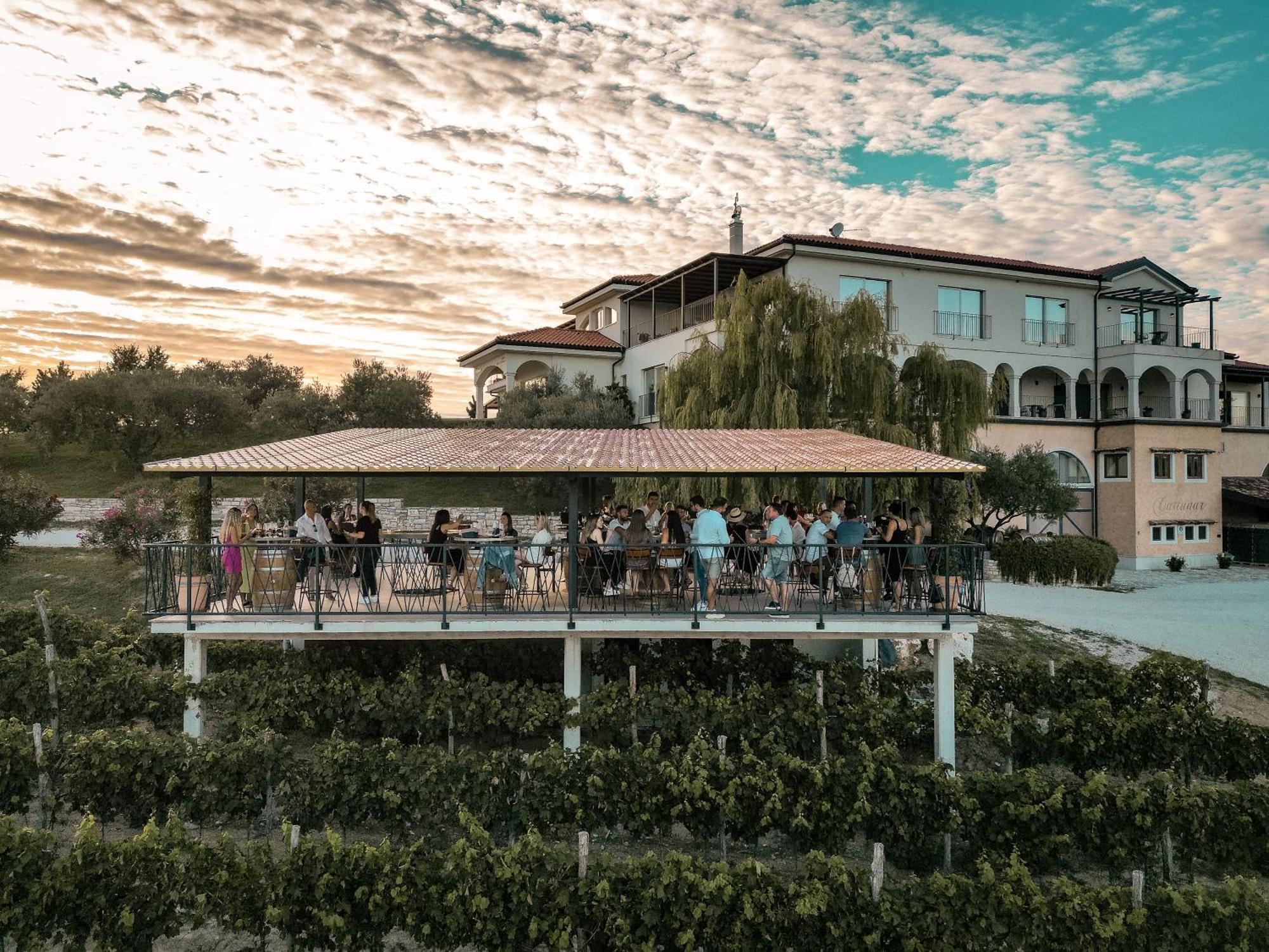 Wine Residence Cattunar Brtonigla Exterior foto