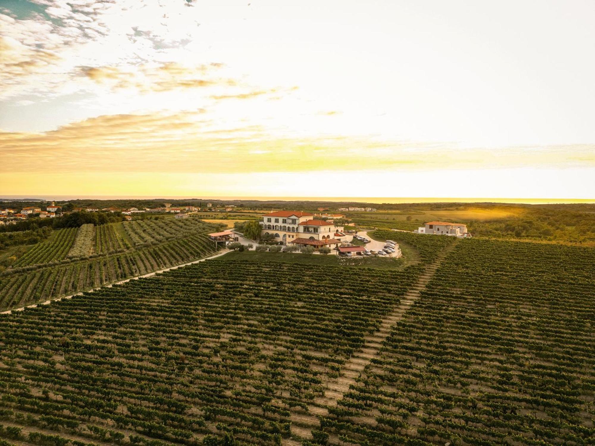 Wine Residence Cattunar Brtonigla Exterior foto